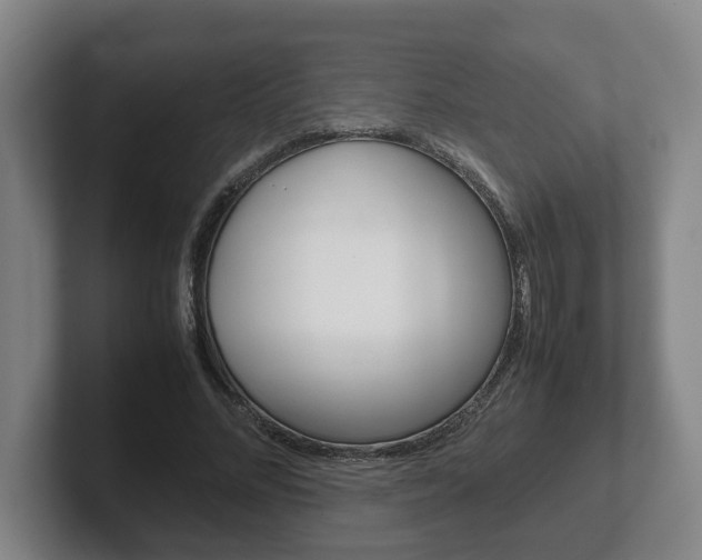 X0000102270684200807250858
