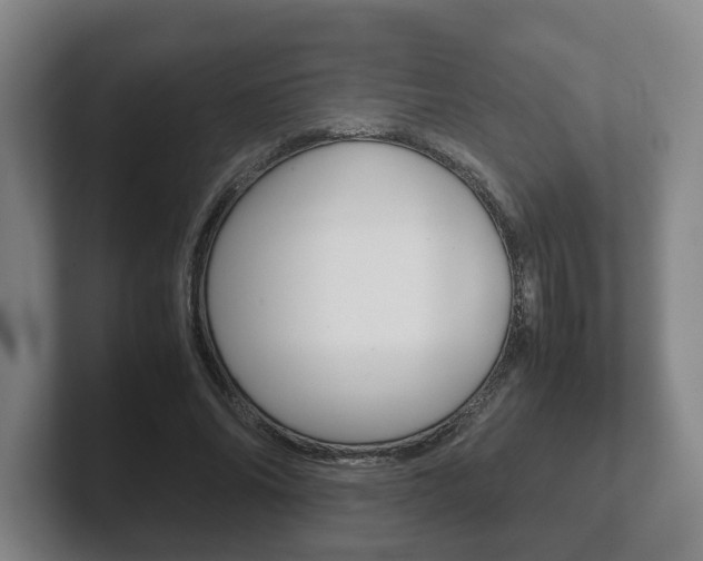 X0000102270686200807250858