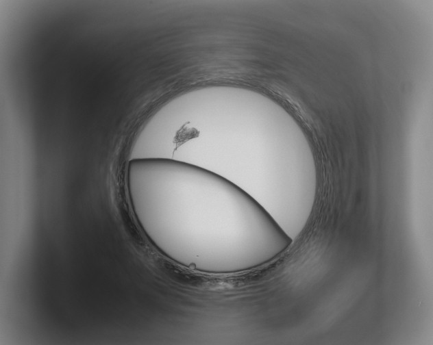 X0000102270687200807250858