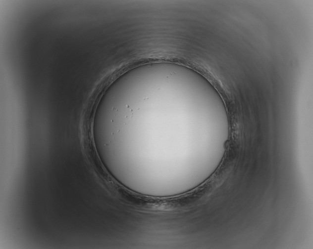 X0000102270688200807250858