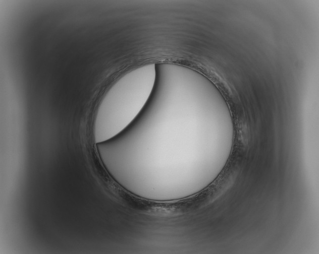 X0000102270690200807250858