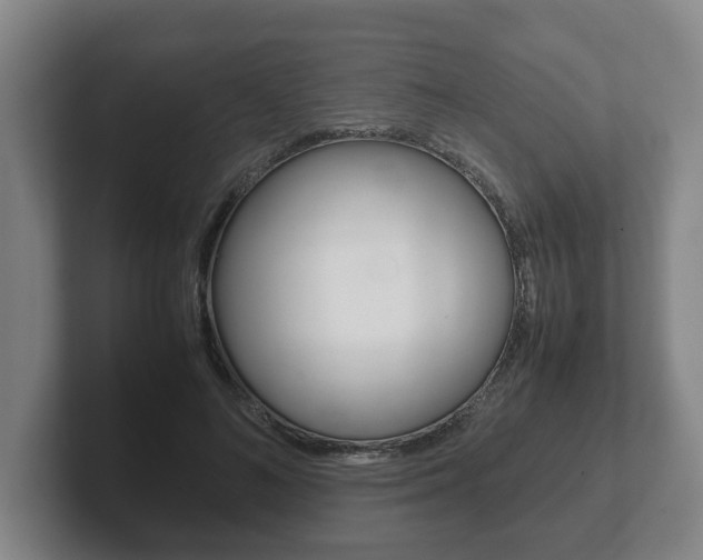 X0000102270692200807250858