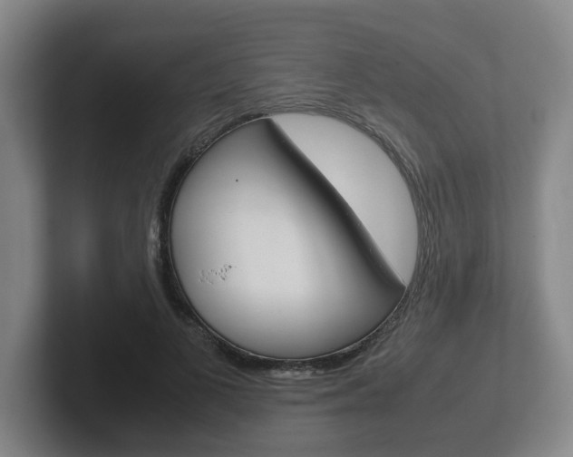 X0000102270693200807250858