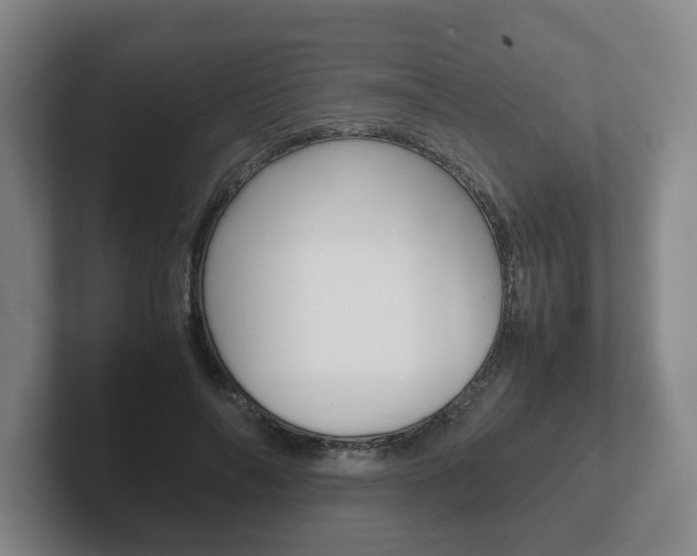 X0000102270694200807250858