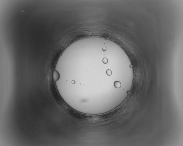 X0000102270695200807250858