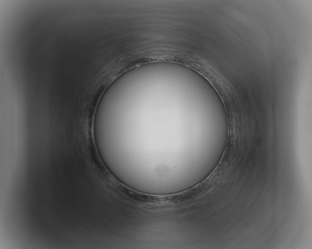 X0000102270696200807250858