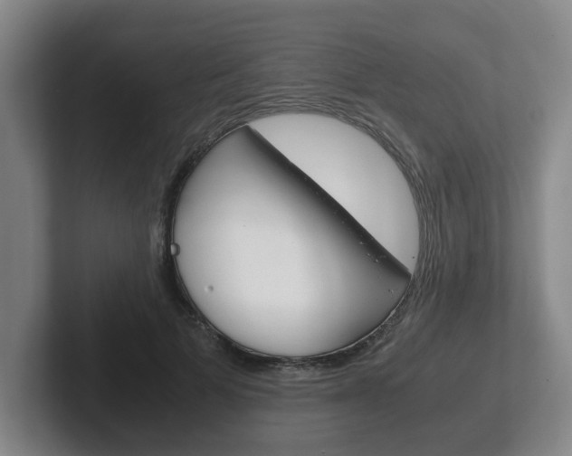 X0000102270697200807250858