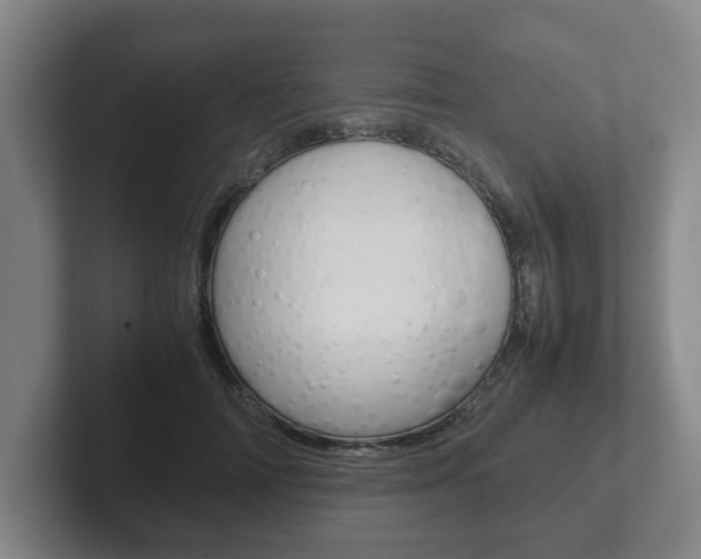 X0000102270698200807250858