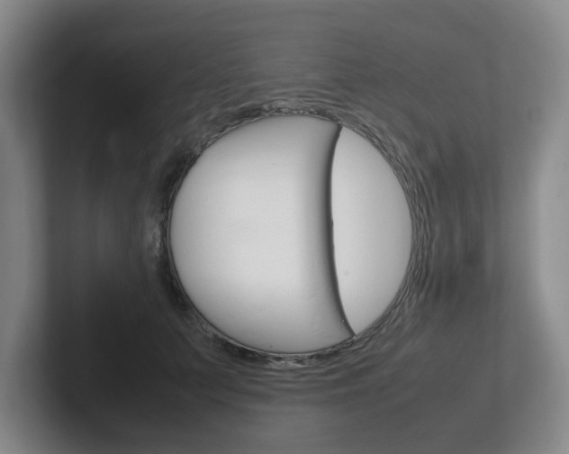 X0000102270703200807250858