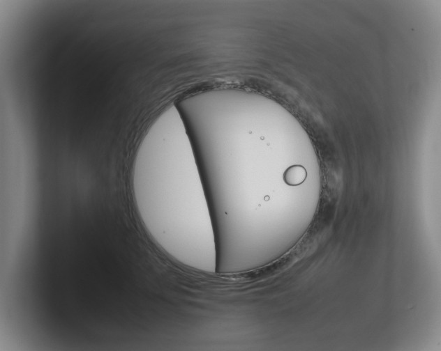 X0000102270707200807250858
