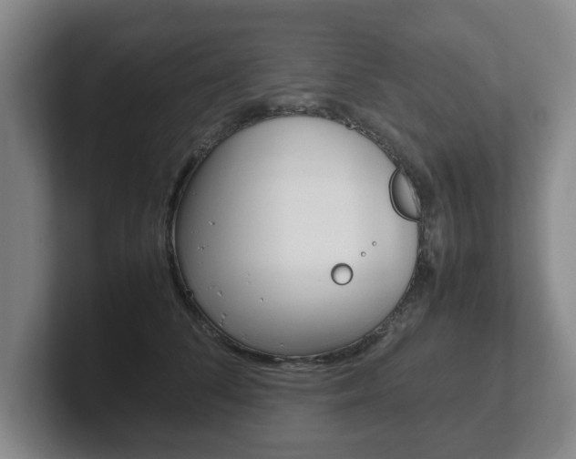 X0000102270708200807250858
