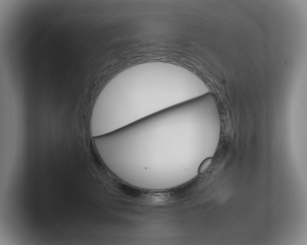 X0000102270711200807250858