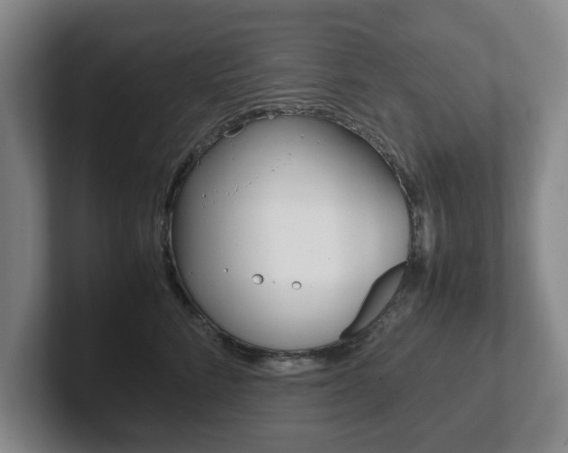 X0000102270712200807250858