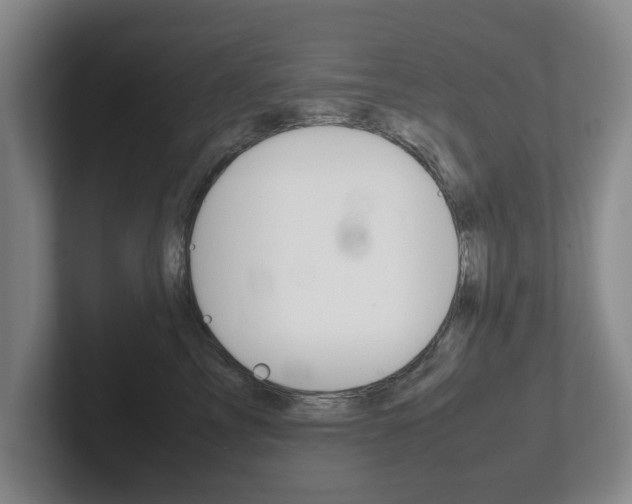 X0000102270713200807250858