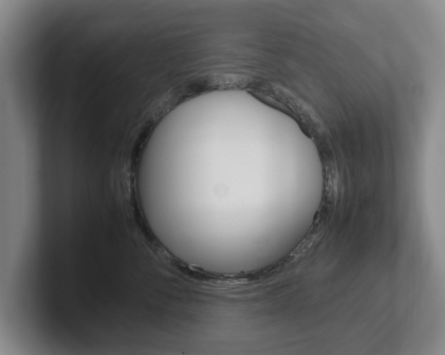 X0000102270716200807250858