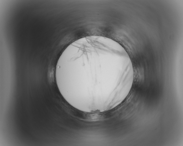X0000102270717200807250858