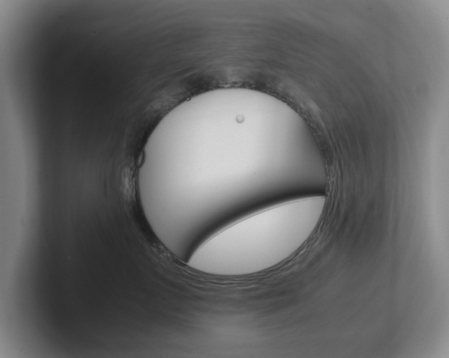 X0000102270719200807250858