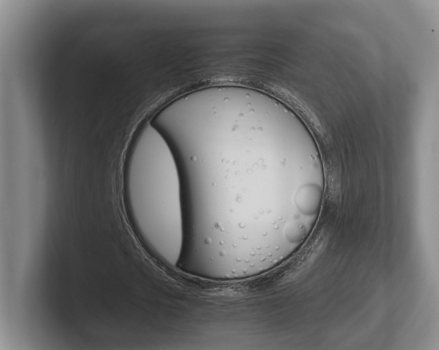 X0000102270721200807250857