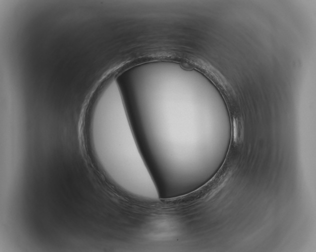 X0000102270723200807250857