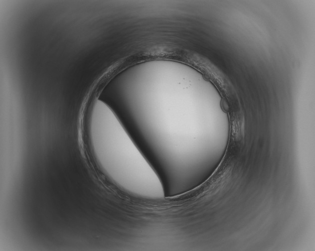 X0000102270724200807250857