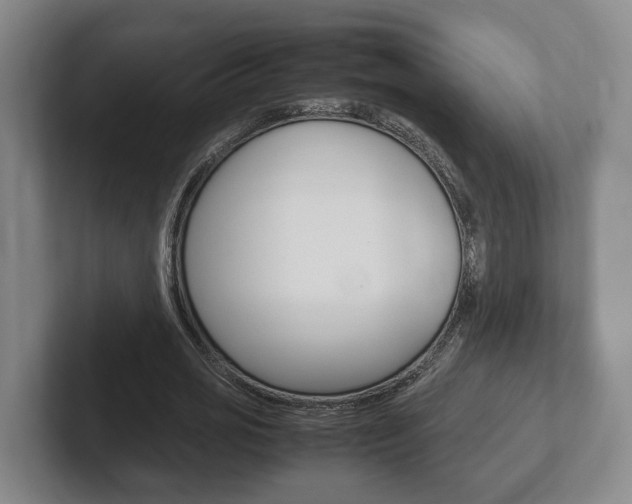 X0000102270725200807250857