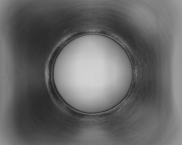X0000102270726200807250857