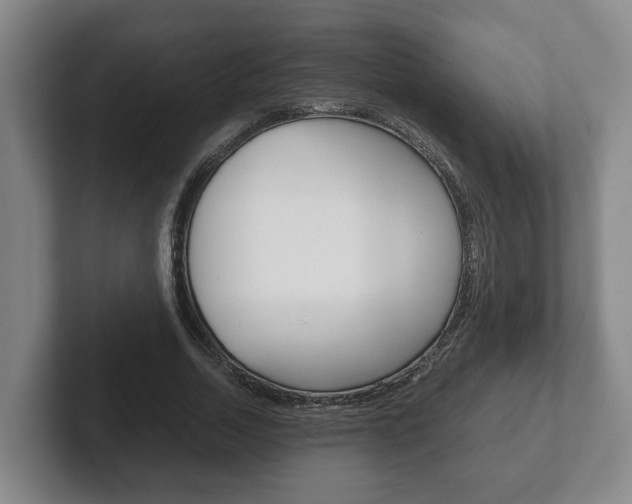 X0000102270730200807250857