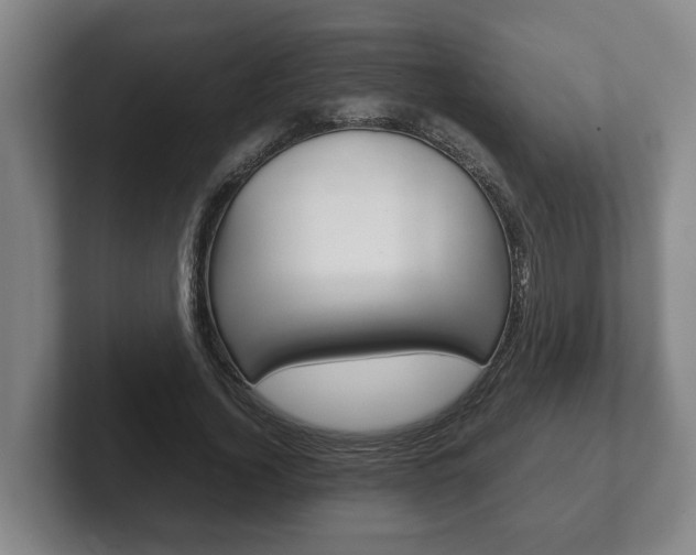 X0000102270732200807250857