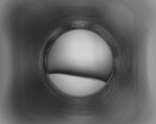 X0000102270735200807250857