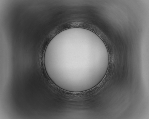 X0000102270737200807250857