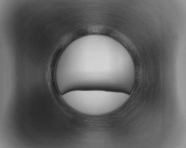 X0000102270738200807250857
