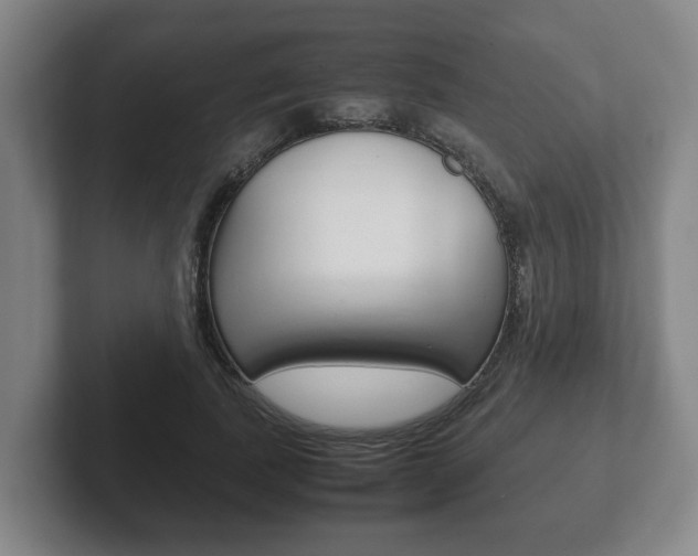 X0000102270739200807250857