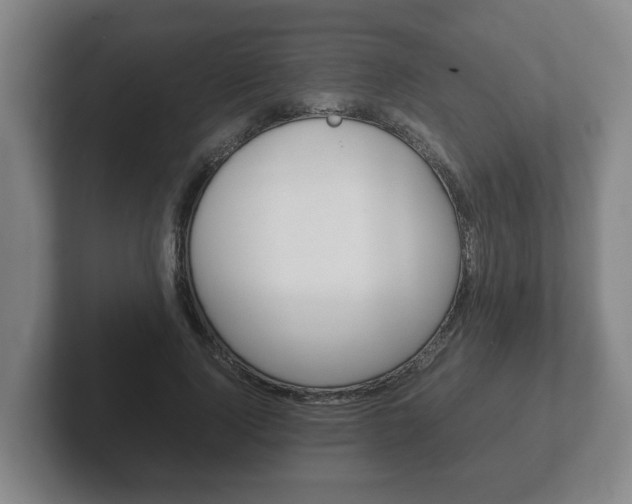 X0000102270740200807250857