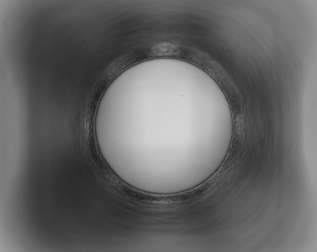 X0000102270741200807250857