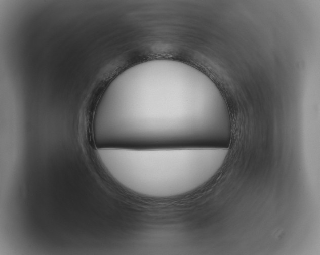 X0000102270742200807250857