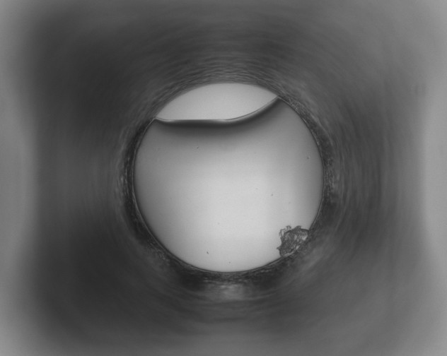 X0000102270743200807250857