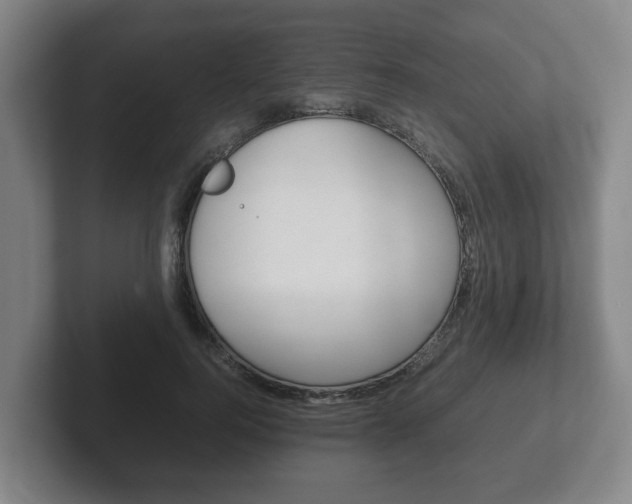 X0000102270744200807250857