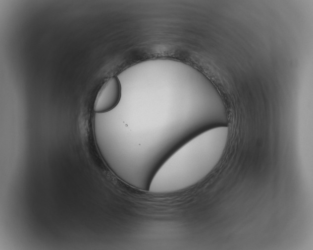 X0000102270746200807250857