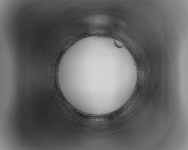 X0000102270749200807250857