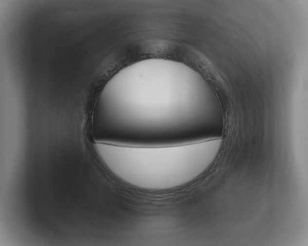 X0000102270750200807250857