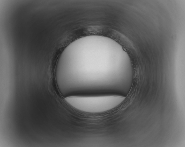 X0000102270751200807250857