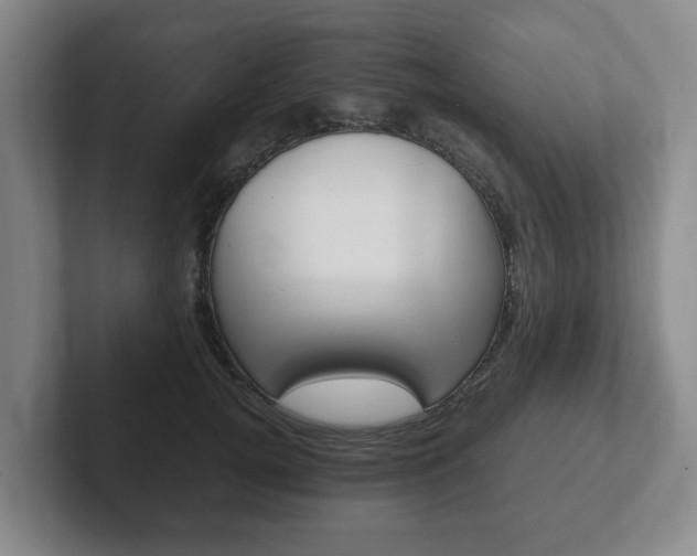 X0000102270752200807250857