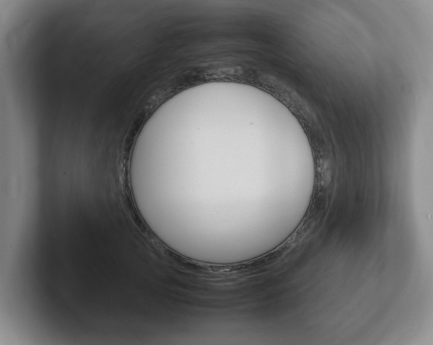 X0000102270753200807250857