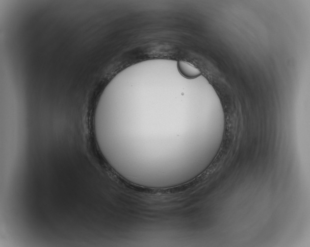 X0000102270755200807250857