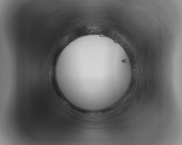X0000102270756200807250857