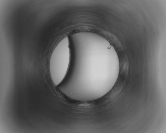 X0000102270759200807250857