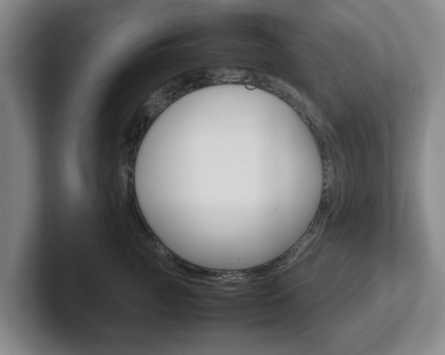X0000102270761200807250857
