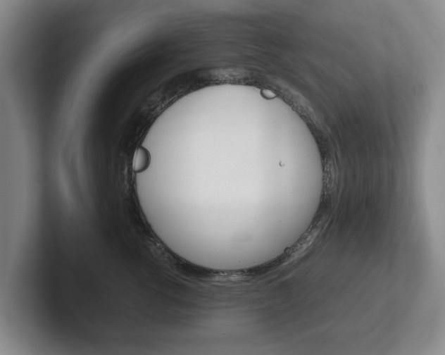 X0000102270762200807250857