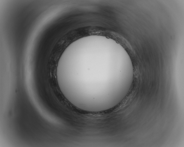 X0000102270763200807250857