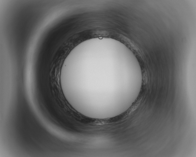 X0000102270764200807250857